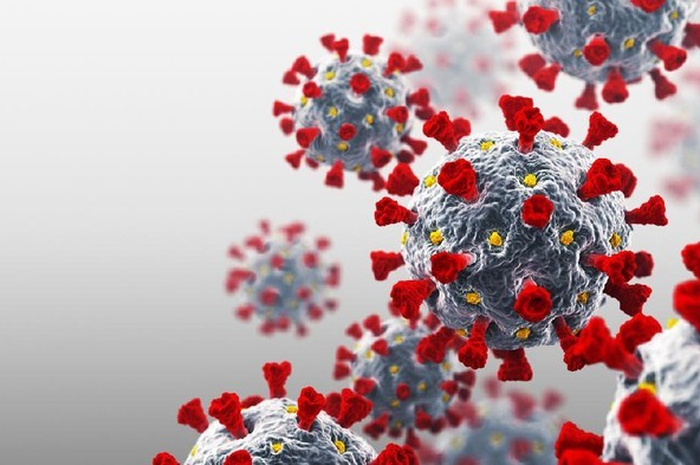 Ilustrasi virus corona