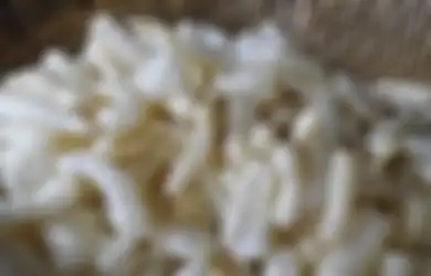 Ternyata Bukan Nasi, Tapi 4 Makanan Ini Nih yang Bikin Lo Gendut!