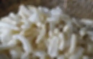 Ternyata Bukan Nasi, Tapi 4 Makanan Ini Nih yang Bikin Lo Gendut!