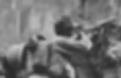 Bertengger di Pucuk Pohon, Sniper Jepang Pantang Keluar Sarang Sebelum Jadi Mayat, Hanya Bisa Ditumbangkan dengan Senapan Mesin Antitank