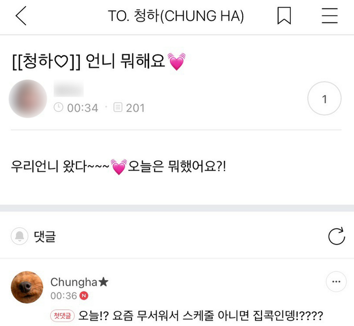 Komentar Chung Ha terhadap pertanyaan penggemar yang menanyakan aktivitasnya belakangan.